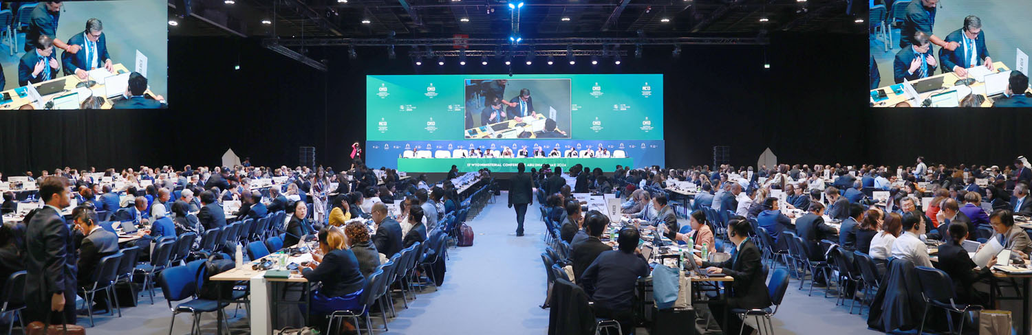 WTO 분쟁해결 개혁 세션