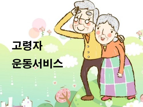 고령자 운동서비스