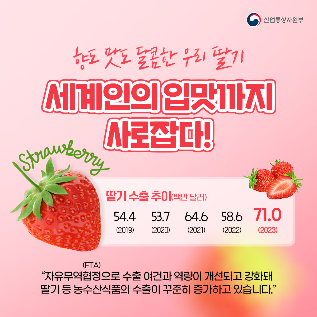향도 맛도 달콤한 우리 딸기 세계인의 입맛까지 사로잡다!